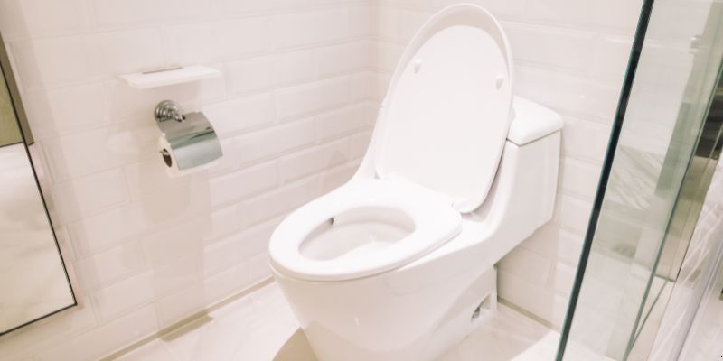 Como Desentupir Vaso Sanitário Que Caiu Objeto Dentro em Jaboatão dos Guararapes: 4 Técnicas